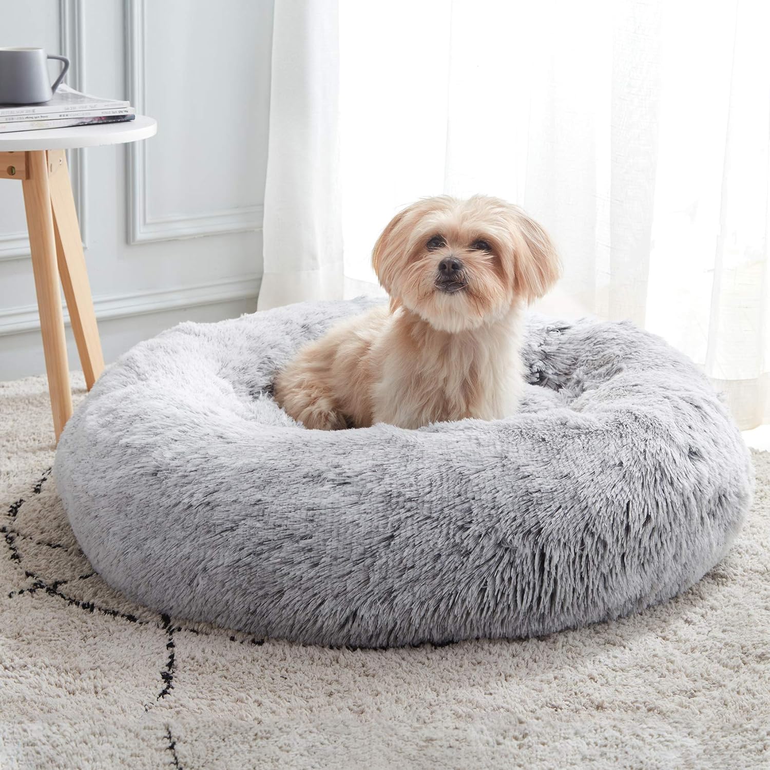 Dog & Cat Bed