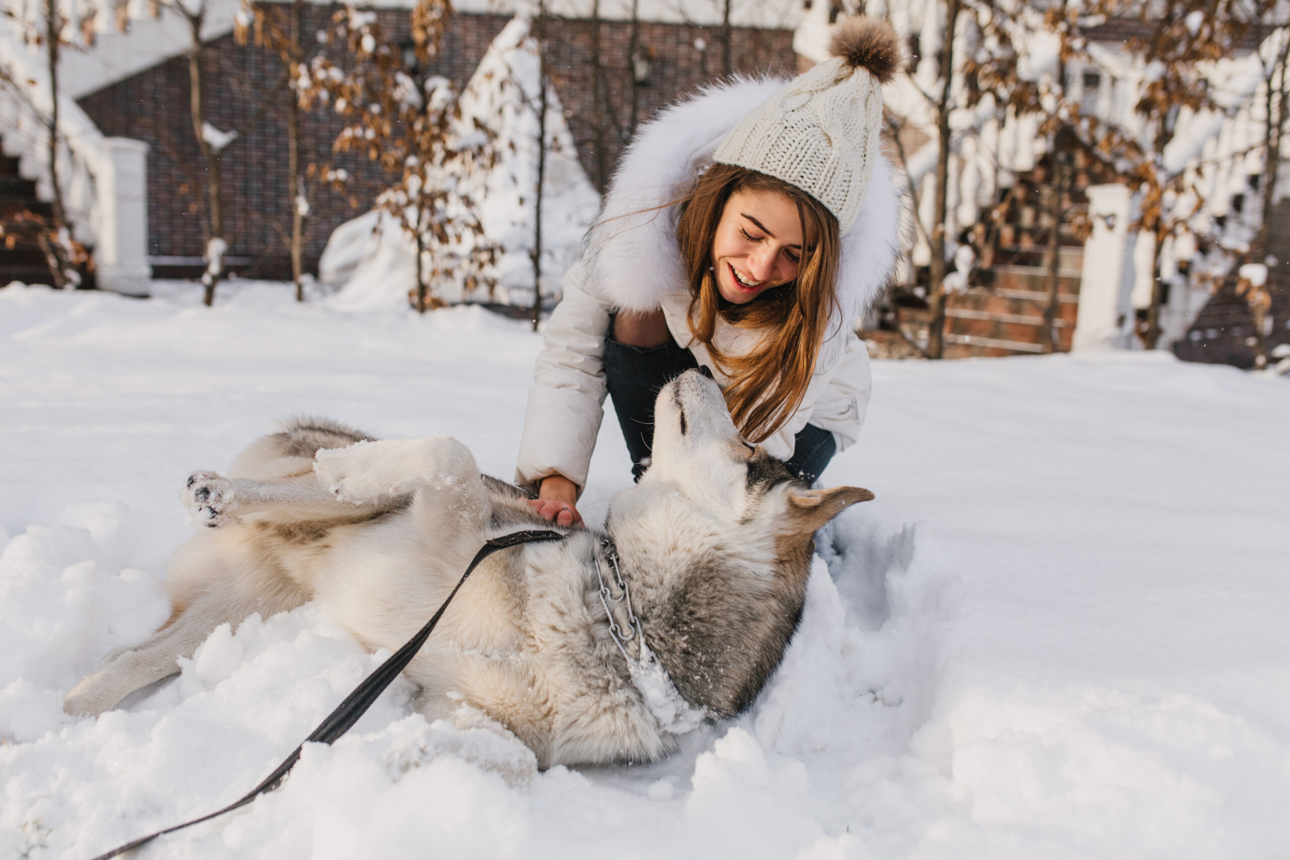 How to Keep Your Pet Healthy in Winter and Summer
